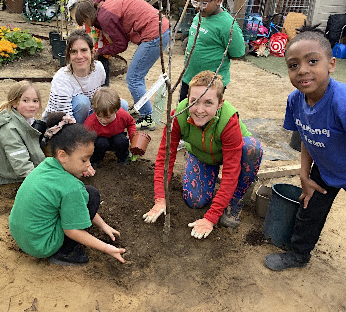 How Brixton residents are bringing nature back